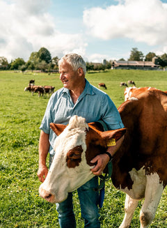 Dairy farmer with a cow in a green pasture